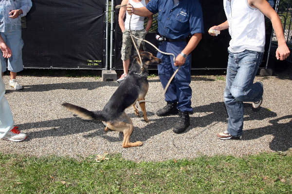 \"Drugscontrole bij Dancefeest Full House in Elst\"