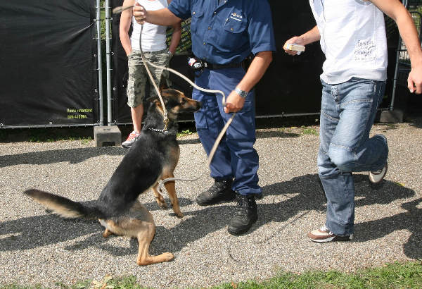 \"Drugscontrole bij Dancefeest Full House in Elst\"