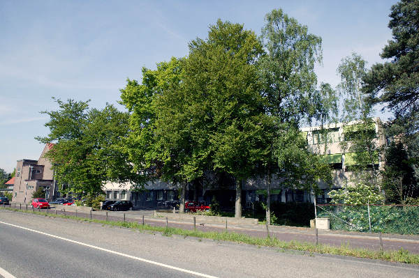 \"Klooster Portiuncola te Alverna met bejaarde zusters, Mariagrot en exterieur en kerk
Talis
Foto\'s zijn auteursrechtelijk beschermd en mogen niet zonder voorafgaande
toestemming van de maker voor andere dan privé ¤oeleinden gebruikt worden.
foto: Gerard Verschooten / FOTAA ?
postbus 1482, 6501 BL Nijmegen
tel: 024-3600767, 0653 201509
Postbank 622777, lid NVF
foto@gerardverschooten.nl\" \"Klooster Portiuncola te Alverna met bejaarde zusters, Mariagrot en exterieur en kerk
Talis
Foto\'s zijn auteursrechtelijk beschermd en mogen niet zonder voorafgaande
toestemming van de maker voor andere dan privé ¤oeleinden gebruikt worden.
foto: Gerard Verschooten / FOTAA ?
postbus 1482, 6501 BL Nijmegen
tel: 024-3600767, 0653 201509
Postbank 622777, lid NVF
foto@gerardverschooten.nl\"