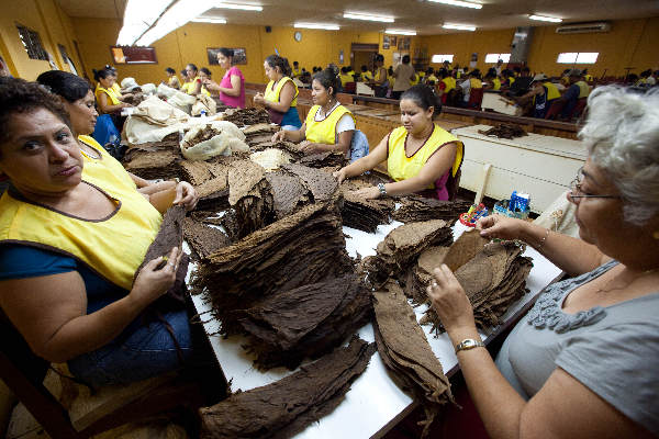 \"Januari 2011, Estelli, Nicaragua, de sigaren van Padron,\"