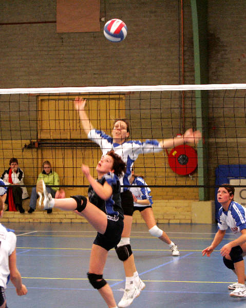 \"Volleybal Pegasus-1 formaties (dames 
Red. Sport
foto: Gerard Verschooten ?  
05-12-2004\"