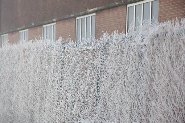 \"Nijmegen, 31-12-2010 . Sneeuw, mist\"