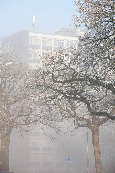 \"Nijmegen, 31-12-2010 . Sneeuw, mist\"