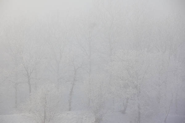 \"Nijmegen, 31-12-2010 . Sneeuw, mist\"