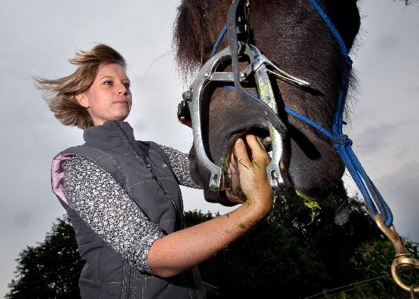 \"Groesbeek, Marieke Huybers is paardentandarts\"