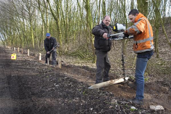 \"Aaannemer plaatst schermen om amfibieen te vangen in buitengebied Ewijk. gebeurt naast brug A50.\"