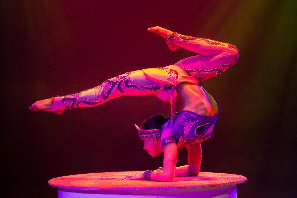 \"Nijmegen, 26-4-2011 . circus Renz op de Goffertwei. Leeuwen acrobatiek..\"