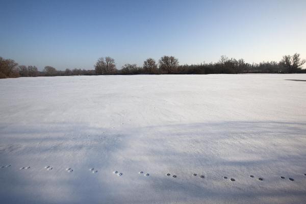 \"Sneeuw, Sneeuwandschap Ooij, Ooy\"