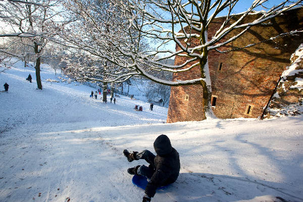 \"Nijmegen, 20-12-2010 .  Sleetje, slee rijden in Konenburgpark\"