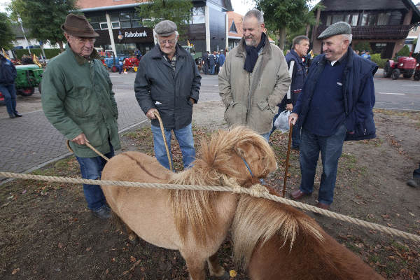 \"Wijchen, 8-10-2011 . Paardenmarkt met kinderen, mais  en tractors\"