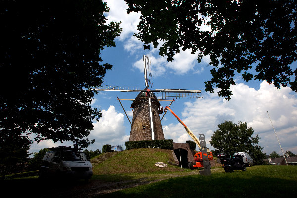 \"Wijchen, 30-6-2011: Rond de Wijchense molen staan drie eiken. Ze moeten weg omdat ze de wind tegenhouden, Brockhorstlaan\"