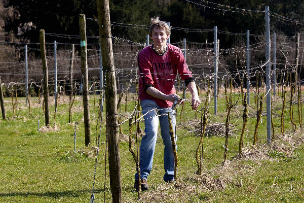 \"22-3-2012 . Berg en Dal ,  Wijnboer Jacco Jaspers aan het werk in zijn wijngaard\"