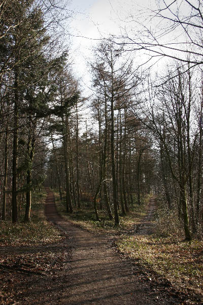 \"Groesbeek, 13-02-2005
Reichswald en cafe Merlein
foto: Gerard Verschooten ? FC\"