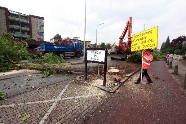 \"Nijmegen, 25-8-2009 . Bomenkap aan Hatersteweg thv Grootstalelaan. Alle bomen gaan om.
\"