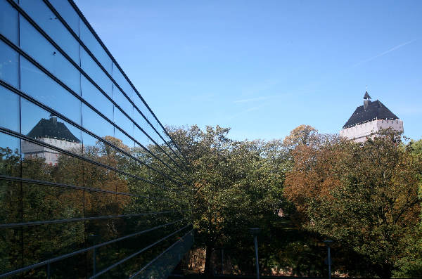 \"Klefkensbos met mooi licht en bomen en Donjon
foto: Gerard Verschooten ? FC\"