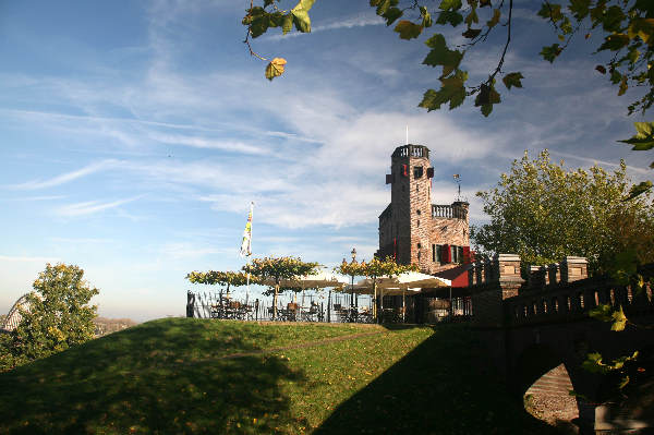 \"Klefkensbos met mooi licht en bomen en Donjon
foto: Gerard Verschooten ? FC\"