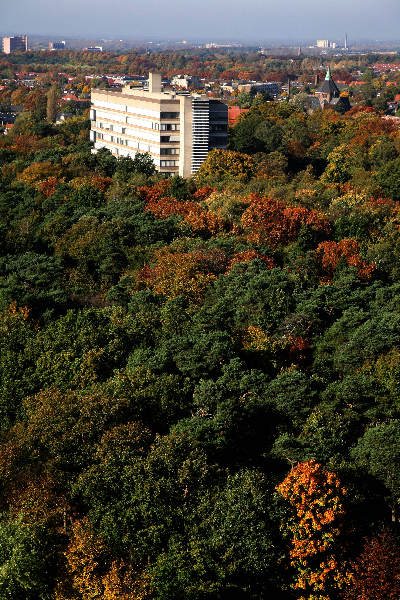 \"Vanuit Erasmusgebouw op de campus
foto: Gerard Verschooten ? FC\"