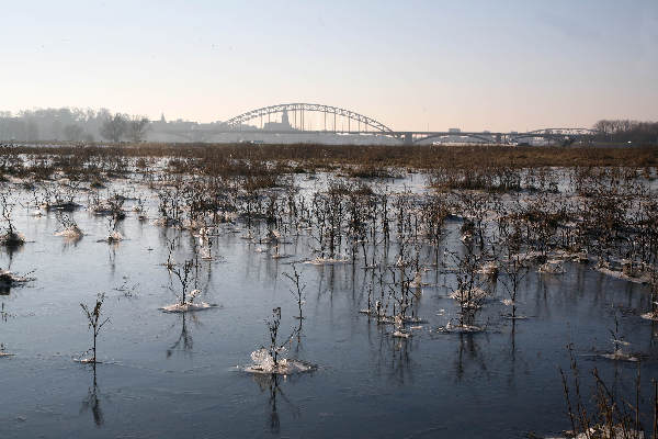 \"ooijpolder\"