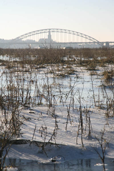 \"ooijpolder\"