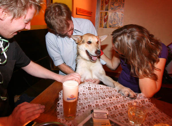 "Feestje 10 jaar Geertje in de Plak"