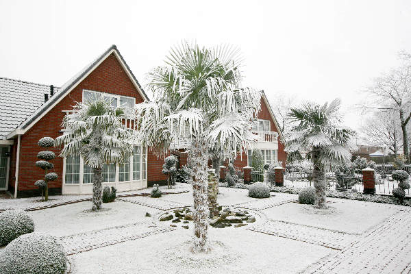 \"Sneeuw in Lindenholt, Broekstraat\"