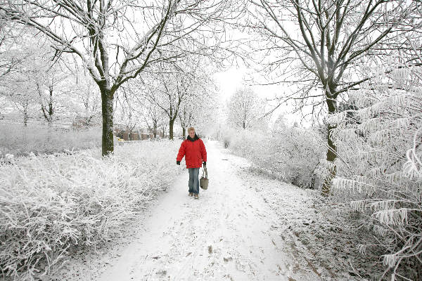 \"Sneeuw in Lindenholt\"