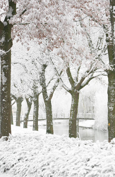 \"Sneeuw in Lindenholt, Broekstraat\"