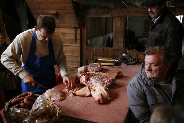 \"museumboerderij de tip in herveld laat een slager zien hoe het varken op de leer wordt gehangen en uitgebeend\"