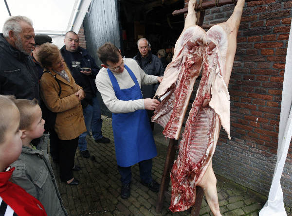 \"museumboerderij de tip in herveld laat een slager zien hoe het varken op de leer wordt gehangen en uitgebeend\"