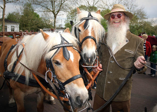 \"Koetsentocht met paarden Groesbeekse hemelvaartmarkt\"