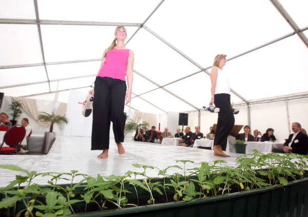 "Kledingshow, modeshow gemaakt van hennepvezels, de show vindt plaats in het gebouw
van Euregio Rijn Waal aan de Emmericher Strasse 24 in Kleef-Niederrhein."