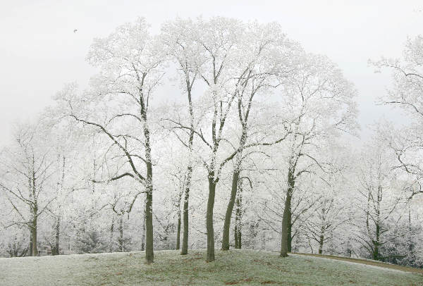 \"Kronenburgerpark\"