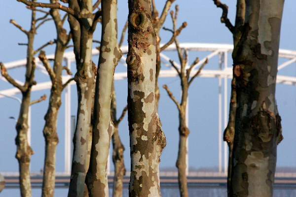 \"stadsgezichten Nijmegen met o.a. brug terrein Hessenberg
foto: Gerard Verschooten ? FC\"