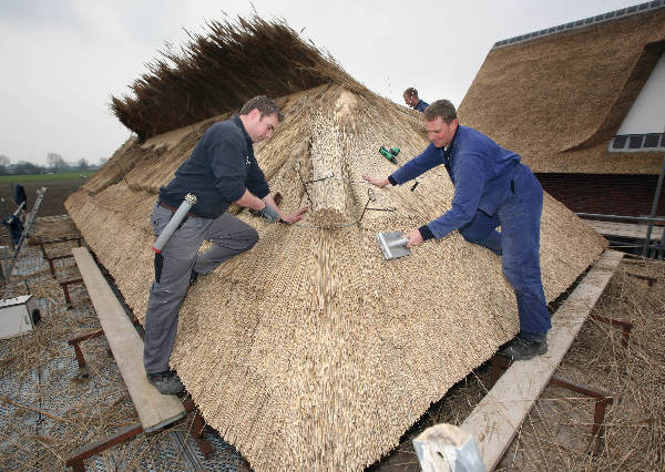 \"vader en zoons vd Ven uit Ooij, Rietdekkers en grient (wilgentenen) kweker\"