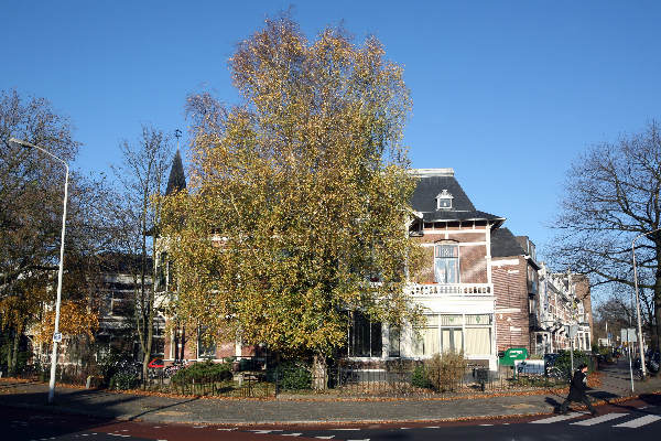 "Mariaplein Nijmegen"