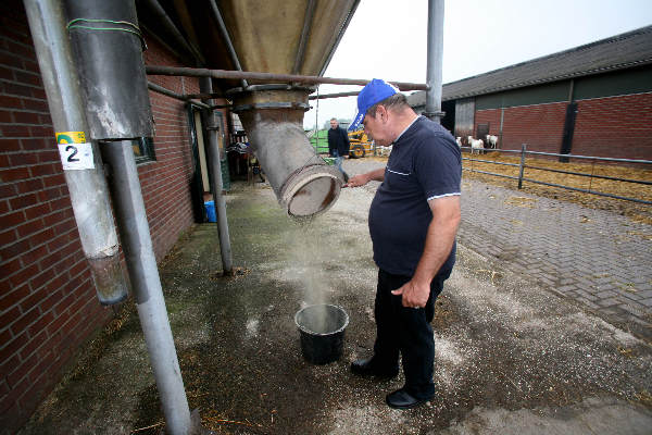 \"Geitenboerderij de Horst, Geiten\"