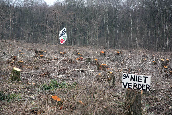 \"Gekapte bomen in Schinveldse bossen bij vliegveld Geilenkirchen\"