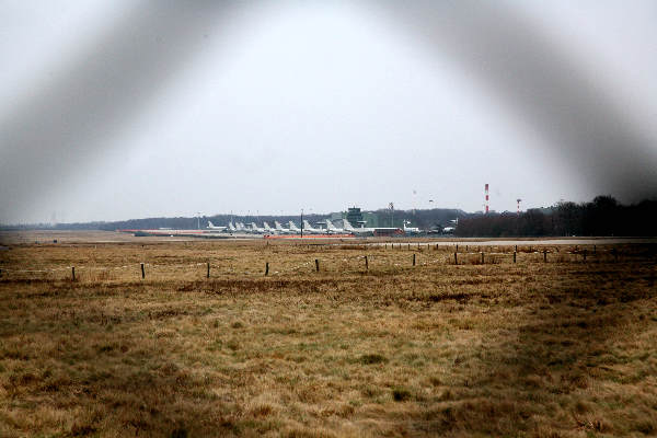 \" Gekapte bomen in Schinveldse bossen bij vliegveld Geilenkirchen\"