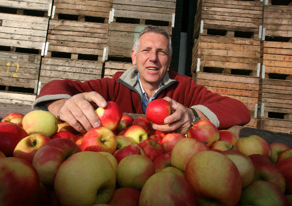 \"Frans van Brandenburg, in het fruit\"