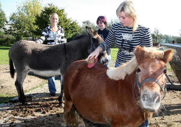 \"Opleiding activiteitenbegeleider Natuur&Welzijn, voor mbo-vakopleidingskrant, Helicon, Energieweg 19, dierverzorging, ezels, paarden\"