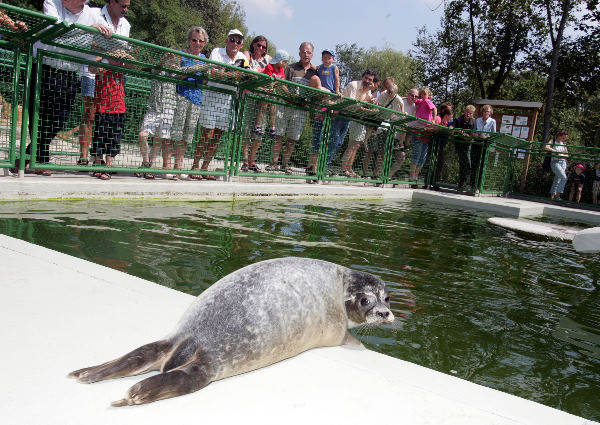\"dierentuin kleef krijgt nieuwe zeehondjes
03-08-2004\"
