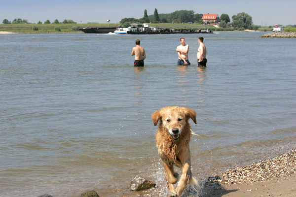 \"vrije foto van het mooie weer, Waalstrandje
29-07-2004\"