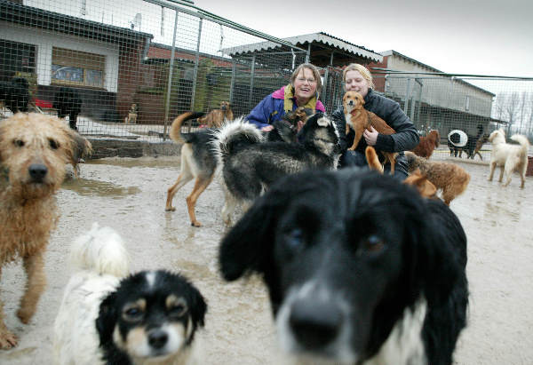 \"Tierheim met Gertie in Mehr, DTL
19-01-2004\"