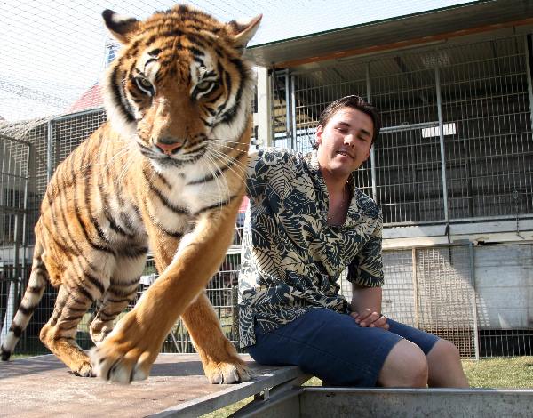 "De tijger en de temmer in het water, Circus Renz bouwt op op Goffertwei"