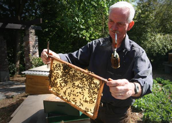 "Imkerij de Immenhof Malden met imker en bijen"