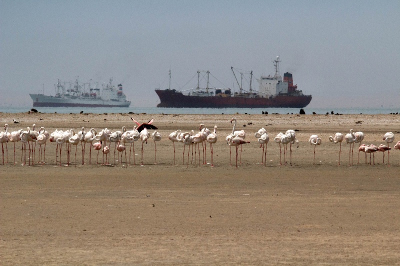 Namibie, Walvisbaai, Luderitsch, Sakopmund Sosusvlei Ai Ais. met Jaxquelinen en Ron, 22-10  04-11-2013