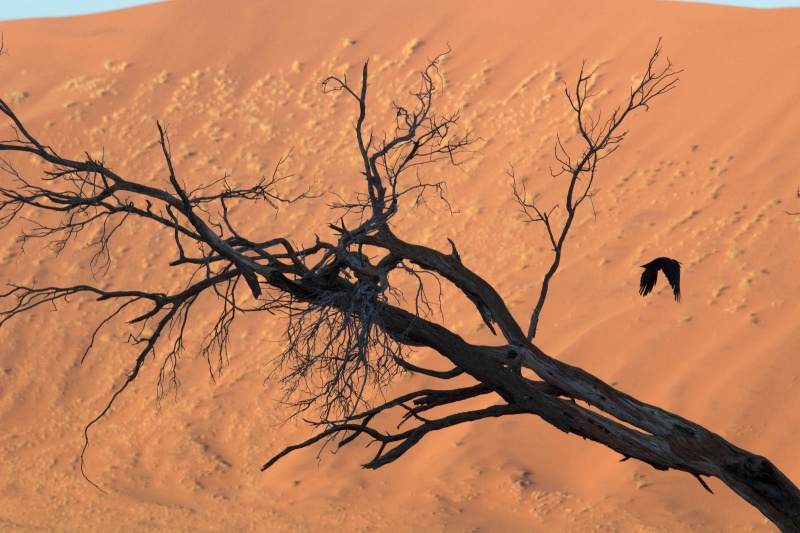 Namibie, Walvisbaai, Luderitsch, Sakopmund Sosusvlei Ai Ais. met Jaxquelinen en Ron, 22-10  04-11-2013