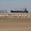 Namibie, Walvisbaai, Luderitsch, Sakopmund Sosusvlei Ai Ais. met Jaxquelinen en Ron, 22-10  04-11-2013