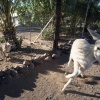 Namibie, Walvisbaai, Luderitsch, Sakopmund Sosusvlei Ai Ais. met Jaxquelinen en Ron, 22-10  04-11-2013