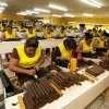 \"Januari 2011, Estelli, Nicaragua, de sigaren van Padron, Plasencia en Oliva\"